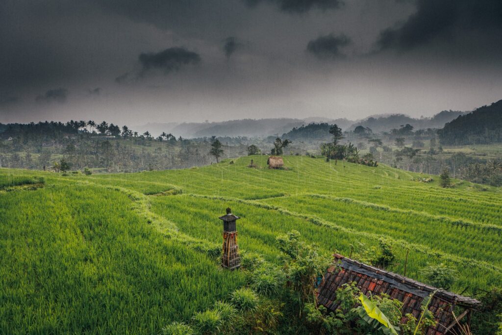 A dark rainy day over the green rice fields in Sidemen. Rain clouds hanging over the dense jungle in the background.