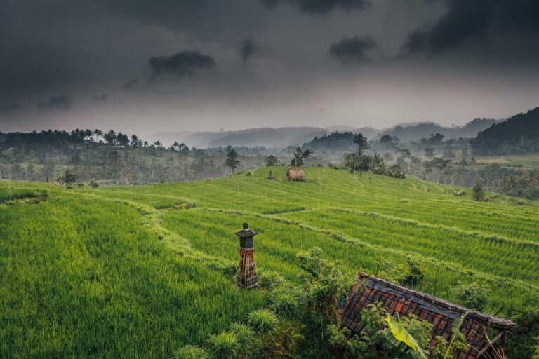 A dark rainy day over the green rice fields in Sidemen. Rain clouds hanging over the dense jungle in the background.
