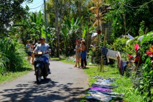 Trekking in Sidemen - Bali is leading through authentic Balinese villages from our holiday home in rural Bali.