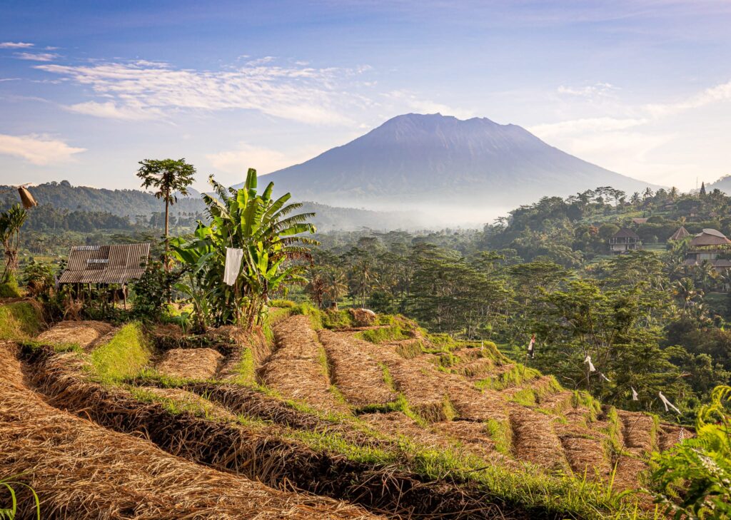 Rice fields in Sidemen with Mt. Agung in the background near Villa Uma Dewi Sri - Places to stay in Sidemen - Bali - Indonesia