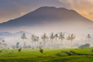 Sunrise in the rice fields with Mt. Agung - Sidemen - Bali - Villa Uma Dewi Sri - Like living in a romantic Balinese painting