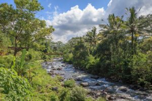 The river in Sidemen winding through the pristine jungle in Bali